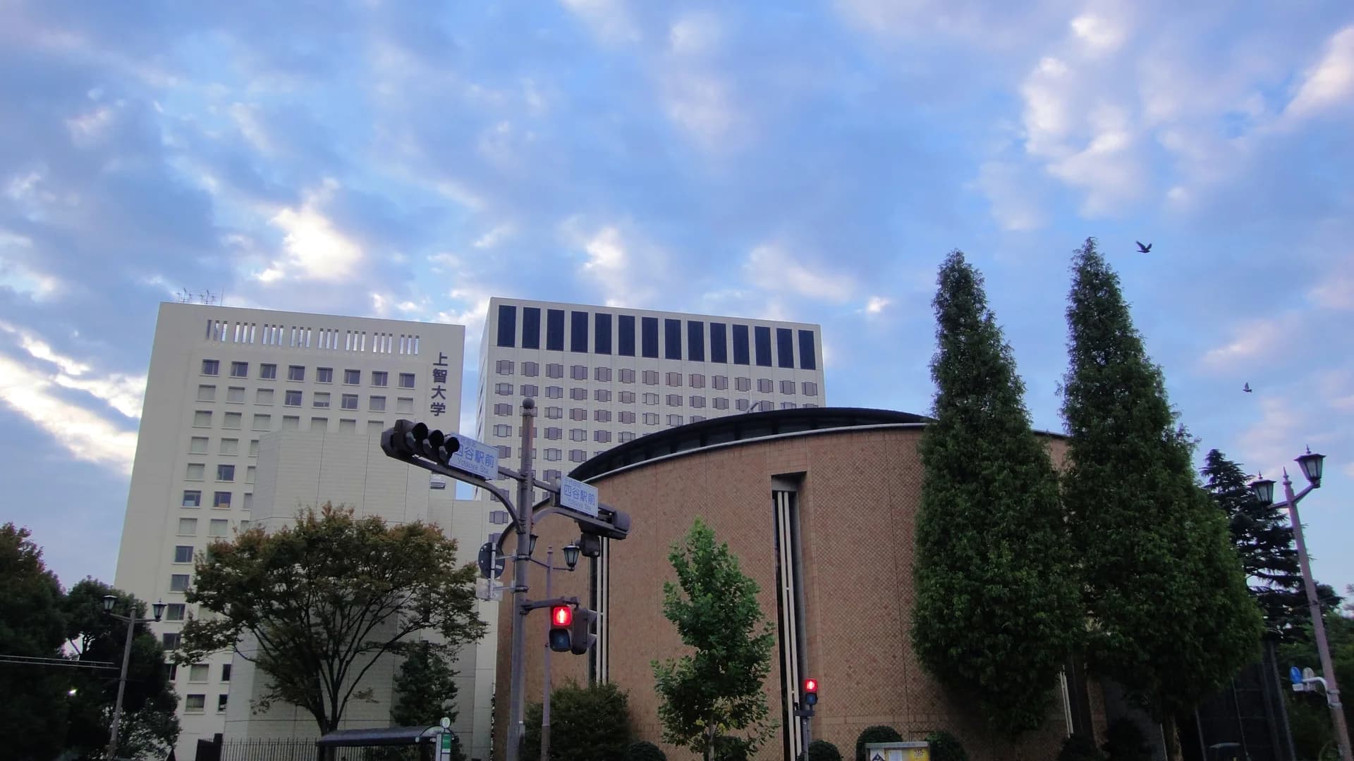 Sophia University campus cover