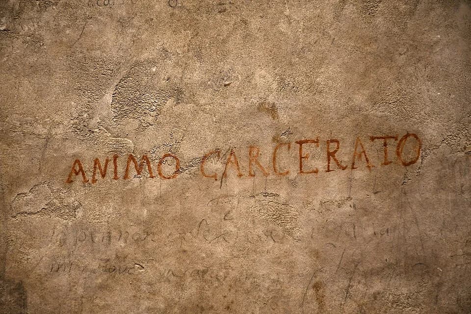 University of Palermo campus cover
