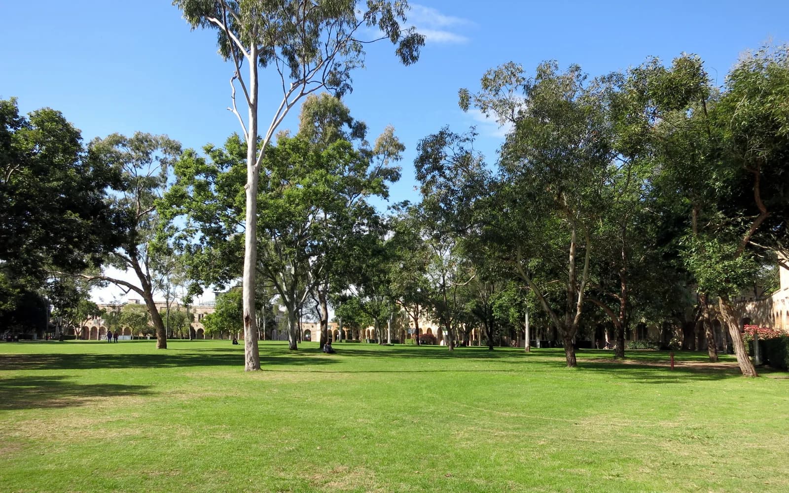 University campus supporting this UniSeek article